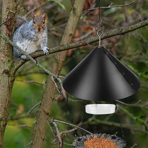 Types of Bird Feeder Squirrel Baffles