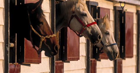 Types of Boarding Stables