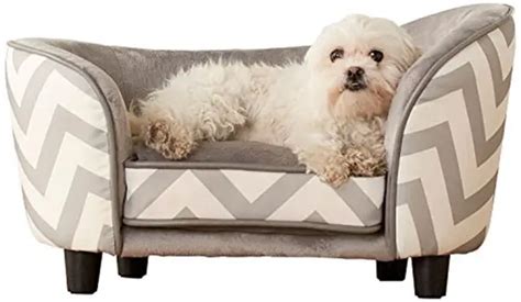 Types of Dog Beds for Small Dogs