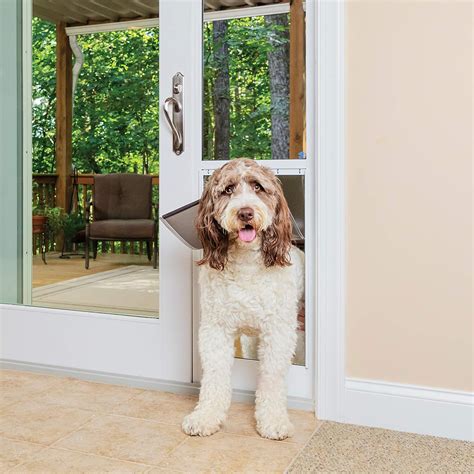 Types of Dog Doors for Sliding Glass Doors