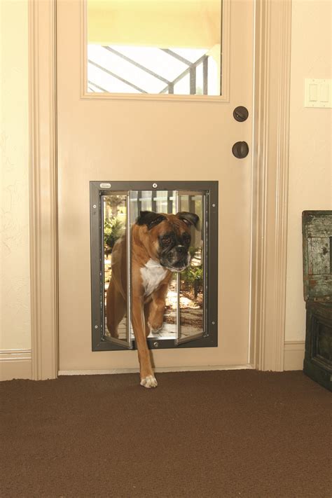 Types of Dog Doors for Walls