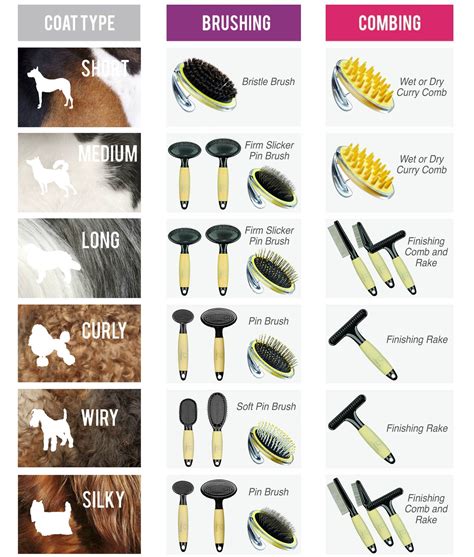 Types of Dog Grooming Brushes