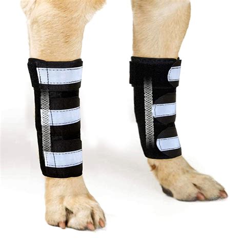 Types of Dog Leg Braces