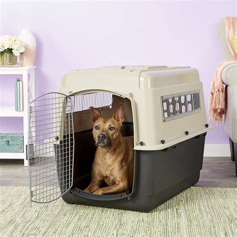 Types of Dog Traveling Crates