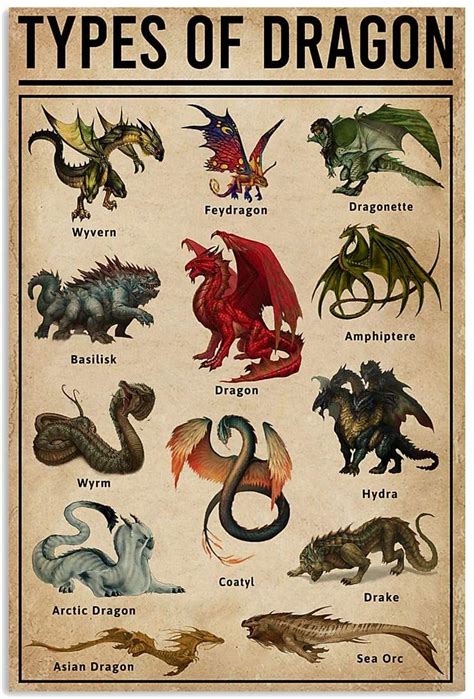 Types of Dragons: