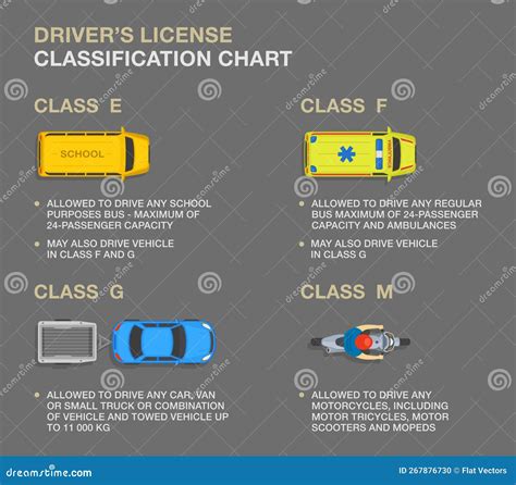 Types of Driver's Licenses