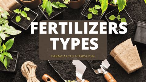 Types of Dry Fertilizers