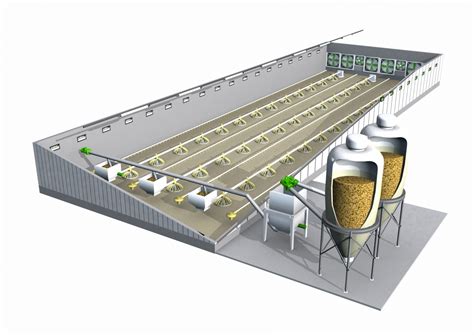 Types of Feed Systems: