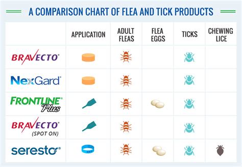 Types of Flea Treatment: A Comparison