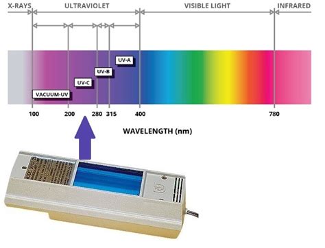 Types of Fluorescence: Shortwave vs. Longwave