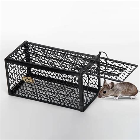 Types of Hamster Traps