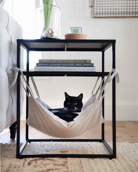 Types of Hanging Cat Beds