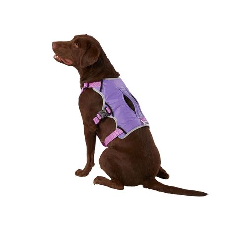 Types of Harnesses at Petsmart