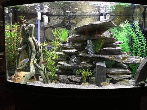 Types of Large Aquarium Decorations