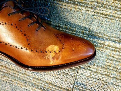 Types of Marks on Leather Shoes