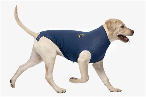 Types of Medical Pet Shirts