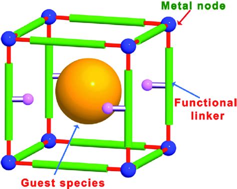 Types of Metal Nodes