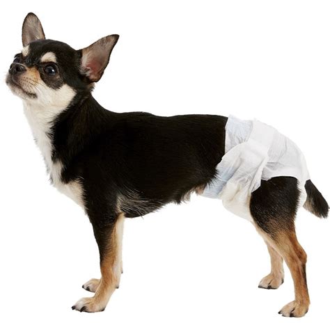 Types of Petco Dog Diapers