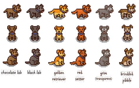 Types of Pets in Stardew Valley