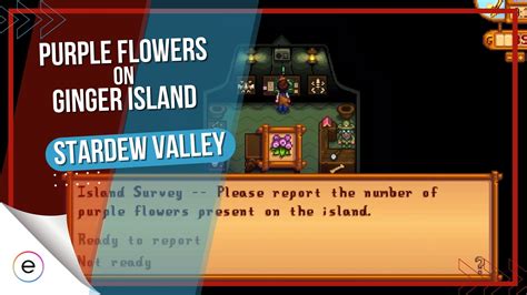 Types of Purple Flowers in Stardew Valley