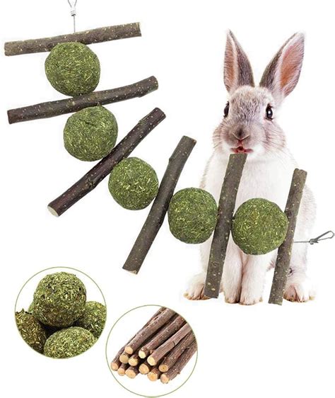 Types of Rabbit Gnaw Toys