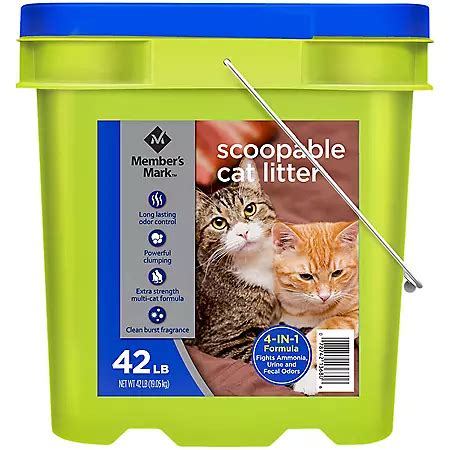 Types of Sam's Club Kitty Litter