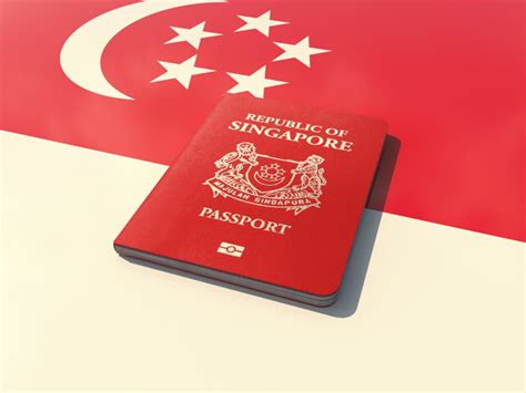 Types of Singapore Visas