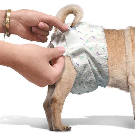 Types of Small Dog Diapers