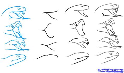 Types of Snake Head Drawings