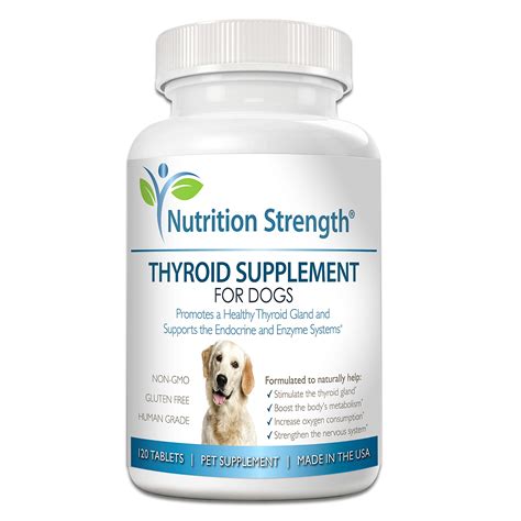 Types of Thyroid Medicine for Dogs