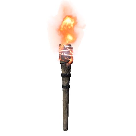 Types of Torches in Skyrim