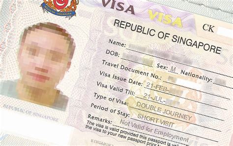 Types of Visas for Singapore