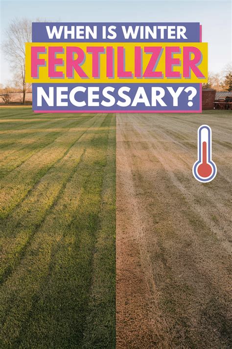 Types of Winter Fertilizer for Grass