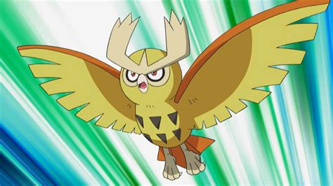 Types that Counter Noctowl