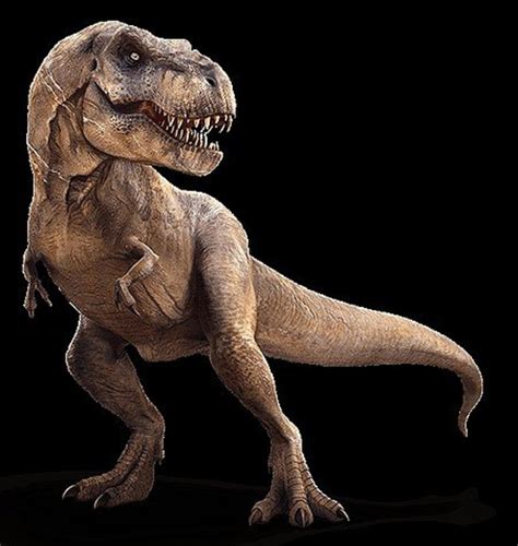 Tyrannosaurus Rex