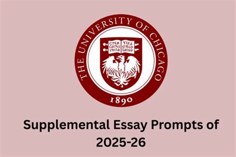 UC Berkeley Supplemental Essays: The Ultimate Guide