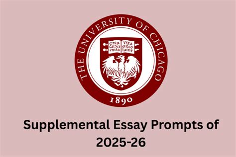 UC Berkeley Supplemental Essays: The Ultimate Guide