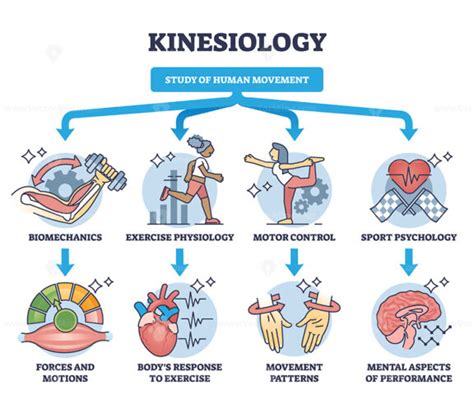 UC Irvine Kinesiology: A Path to Success in Movement Science