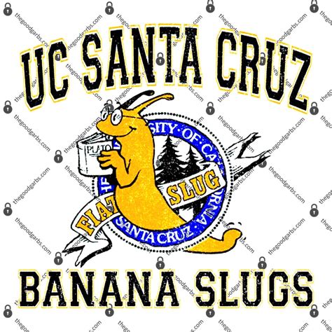 UC Santa Cruz Banana Slugs Merchandise: A Guide to the Most Hilarious and Unique Apparel