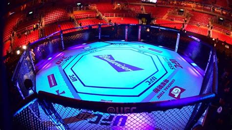 UFC Fantasy League: Domine o Octógono e Ganhe Prêmios Incríveis