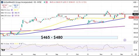 UHG Stock Price: A Detailed Analysis of $448.53