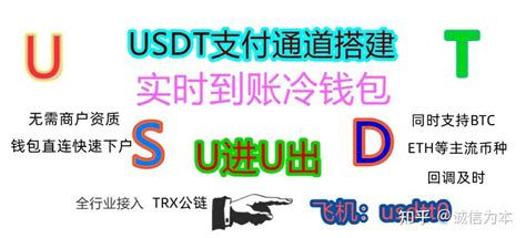 USDT 支付：革命性的金融解决方案