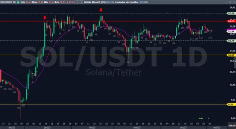 USDT to Soles: A Comprehensive Overview