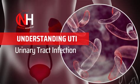 UTI Dallas TX: A Complete Guide to the Urinary Tract Infection Treatment Clinic
