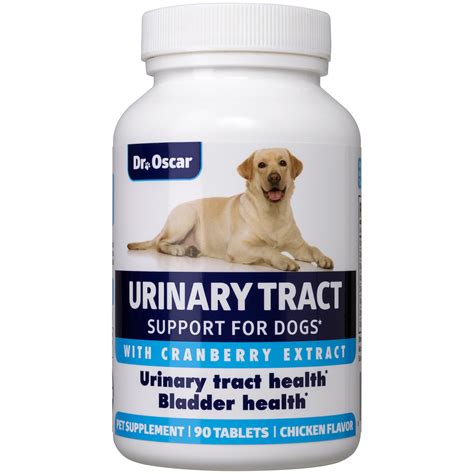 UTI Medication for Dogs: The Ultimate Guide