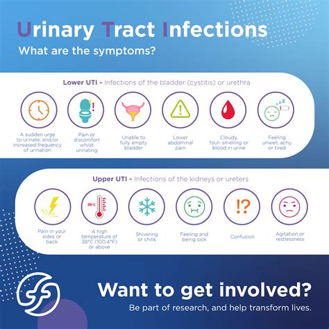 UTI Orlando FL: A Comprehensive Guide to Urinary Tract Infections in Orlando