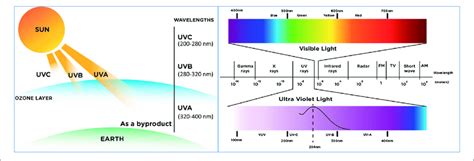 UV-B and Biosphere Doc