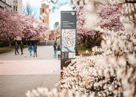 UW Bothell Application Deadline: Key Information and Strategies for Success