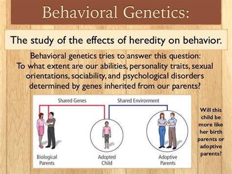 Uahpet Pet Behavior Advice: Psychology VS Genetics in 2025