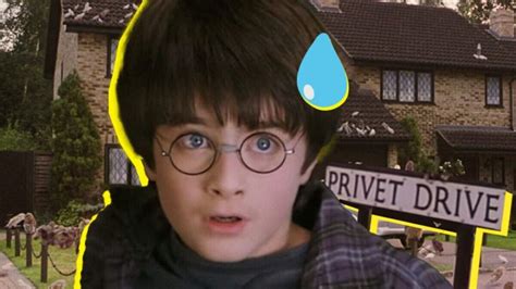 Ugly Harry Potter: A Tale of Unforeseen Consequences